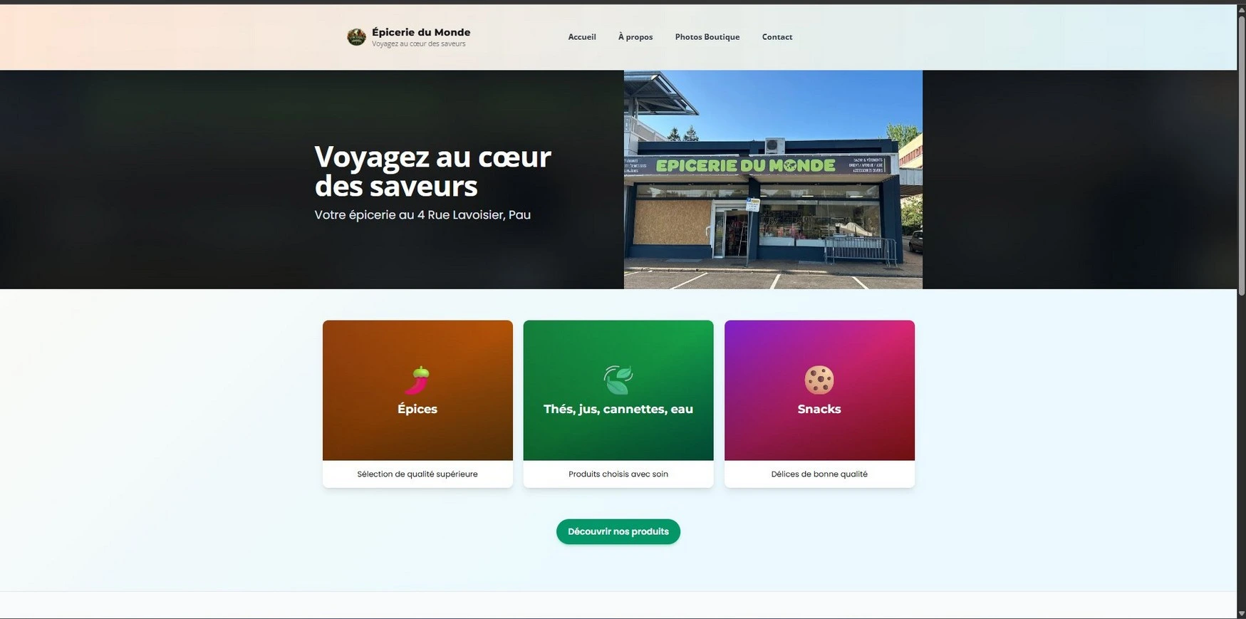 Accueil du site — capture du rapport.